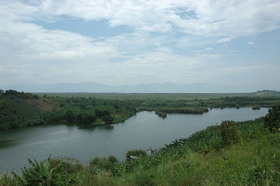 Pétrole des Virunga : revirement spectaculaire de Kinshasa
