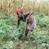 Congo - Agriculture