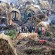 Congo, North Kivu Province Refugee Camp - 2009