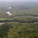 Forêt de Salonga dans le Bassin du Congo