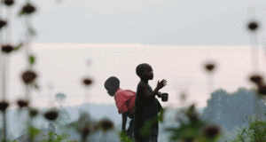 RD Congo: Les Pays-Bas rentrent dans la danse