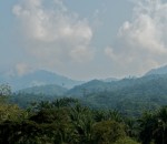 Bunyakiri