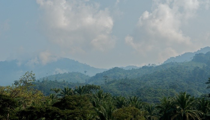 Bunyakiri