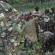 rdf special forces changing uniforms