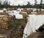 nord-kivu-congo