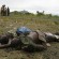 Two men reportedly to be General Laurent