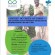Sorties de crise en RD Congo