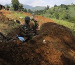 FARDC