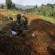 FARDC