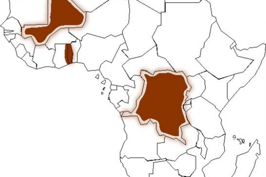 Est de la RDC, Nord du Mali : des similitudes frappantes