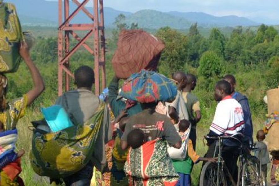 Tuer à Goma, Sake et Kinshasa participe d’un même projet‏